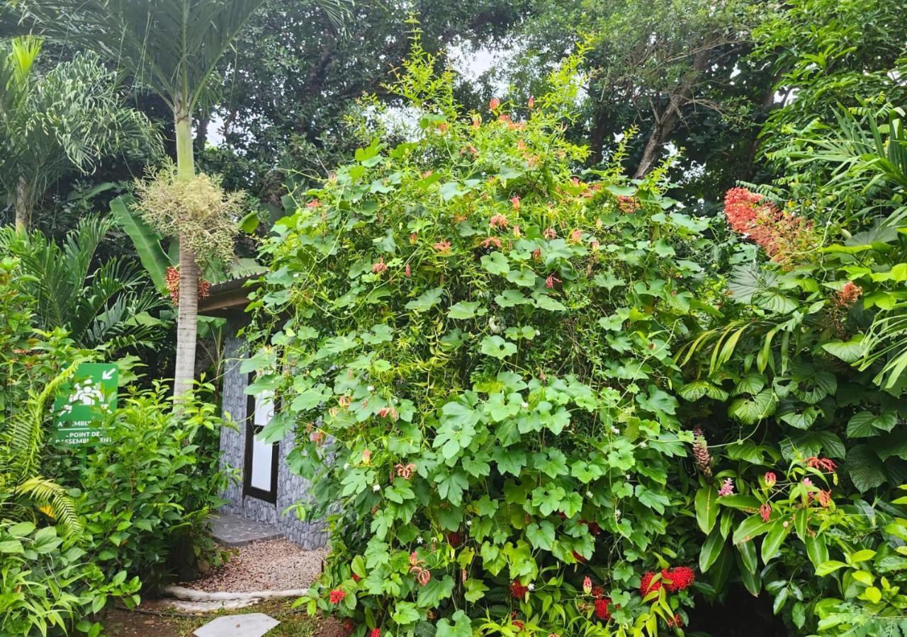 Buisson Guesthouse La Digue Exteriér fotografie