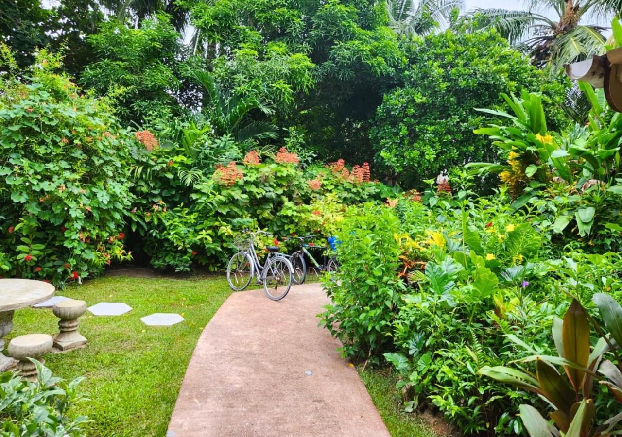 Buisson Guesthouse La Digue Exteriér fotografie